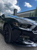 Ford Mustang 5.0 Ti-VCT V8 Black Shadow Edition A... - Ford Mustang: Edition