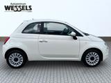 Fiat 500 Lounge 1,0 Hybrid - gebrauchte Fiat 500 aus dem Jahr 2021