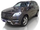 Mercedes-Benz ML 350 BlueTEC 4MATIC Edition 1 - Mercedes-Benz ML-Klasse Gebrauchtwagen in Hamburg