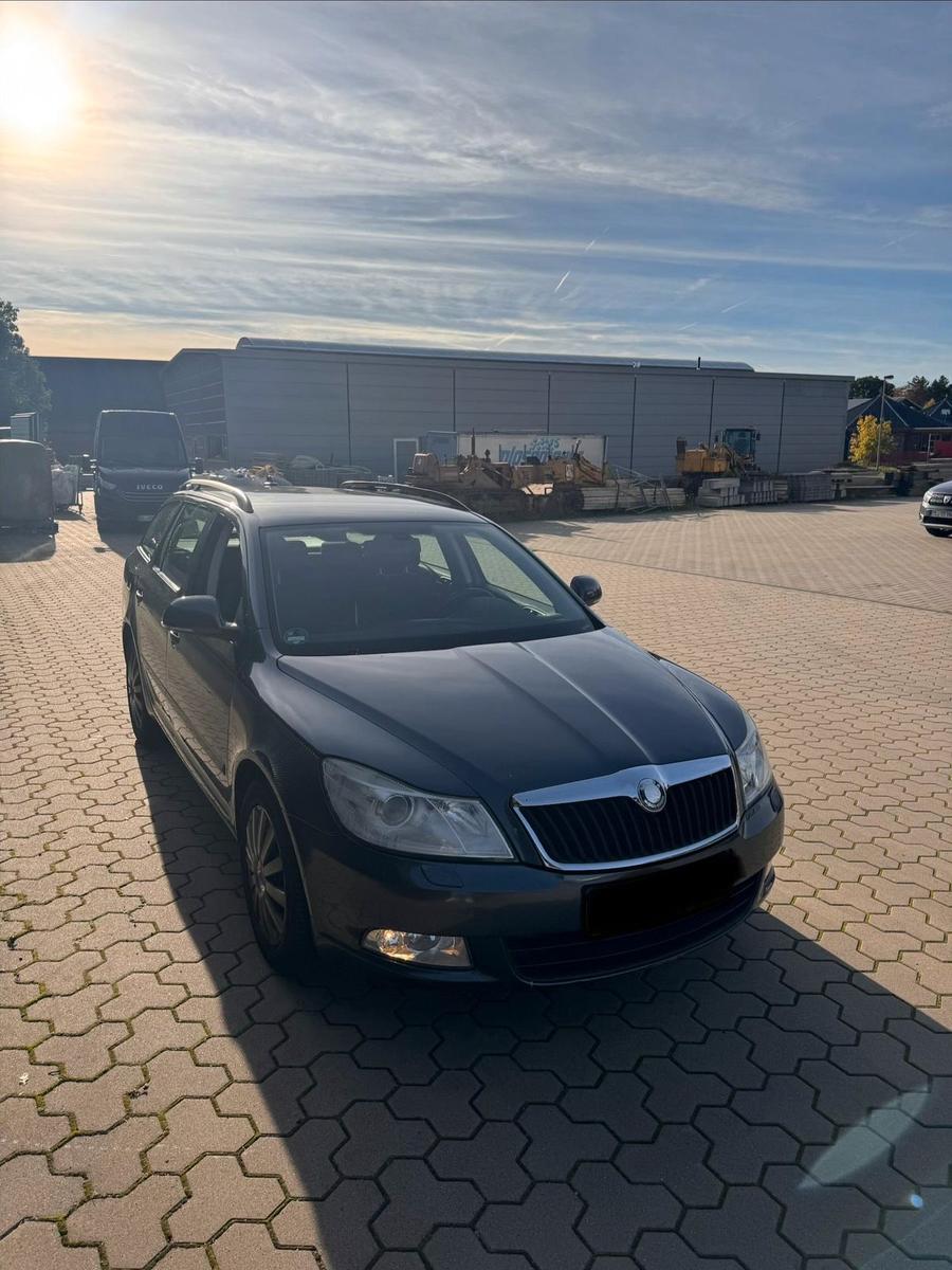 Skoda Octavia 2009 — вигляд ззаду