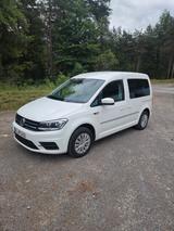 Volkswagen Caddy 2,0TDI 75kW Trendline BlueMotion Trend... - Volkswagen Caddy: Bluemotion