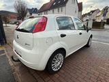 Fiat Punto 1.2 8V LOUNGE TÜV NEU inspNEU Klima 1 Hand - Fiat Punto: 1.2