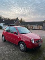 Volkswagen VW Lupo 1.0  Service NEU, Kupplung NEU, T... - Volkswagen Lupo: 1.0
