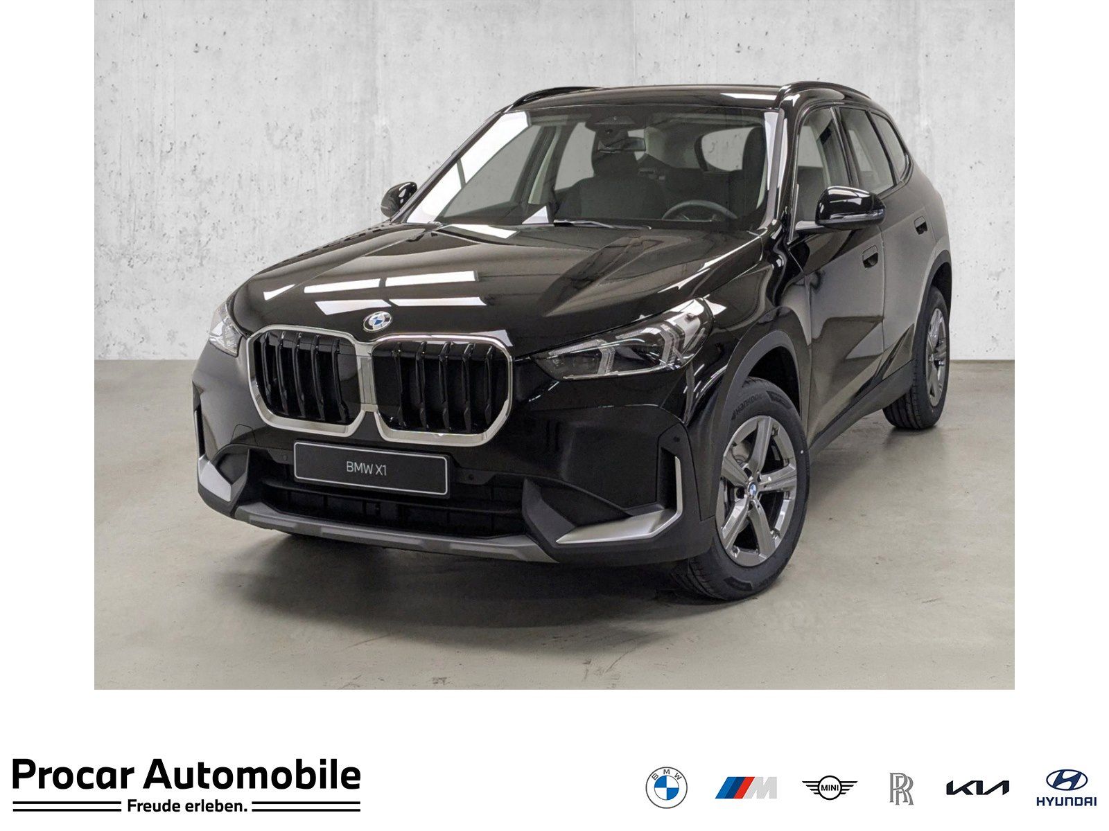 BMW X1 - Bild 1