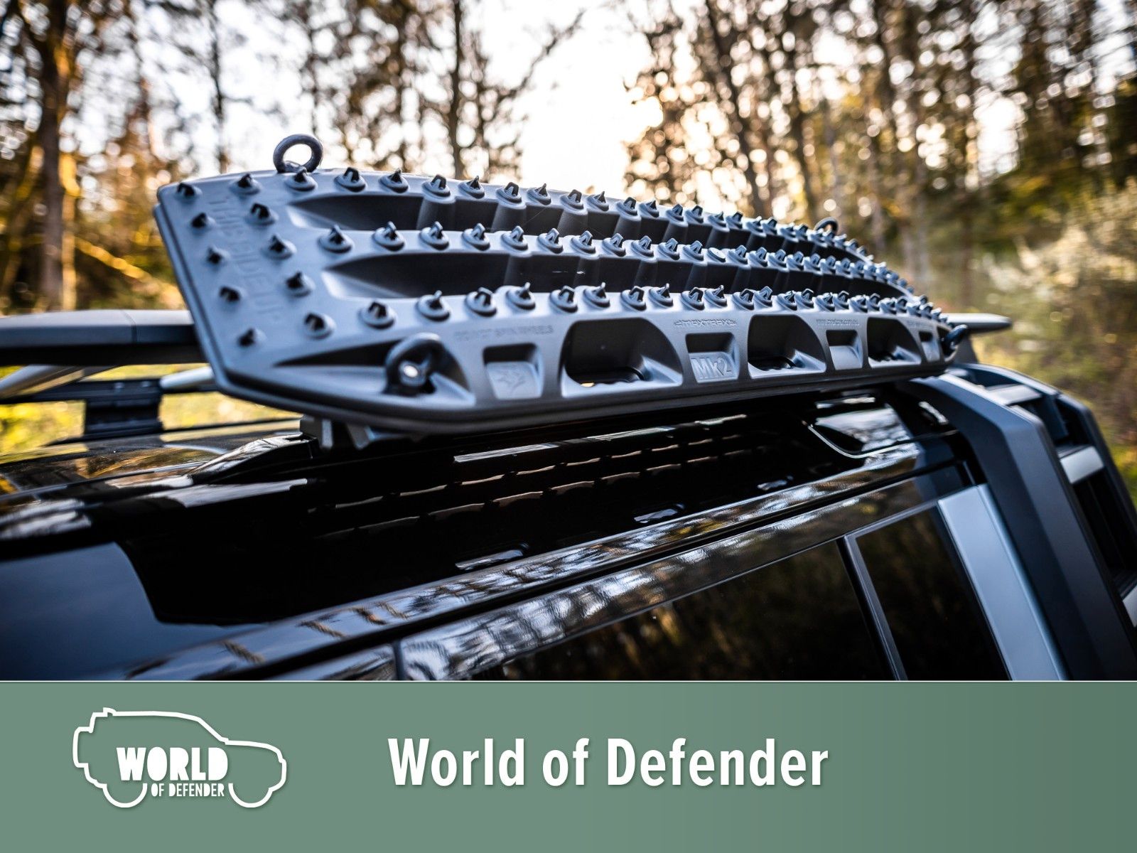 Fahrzeugabbildung Land Rover Defender 110 D250 X-Dynamic SE Rough Edition