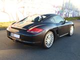 Porsche Cayman 2.9 PASM,BOSE,1.Hd.,22TKM,RDK etc. - gebrauchte Porsche Cayman aus dem Jahr 2009
