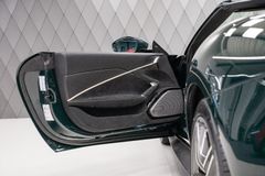 Roma Spider 2025 GREEN/BEIGE SPECIAL