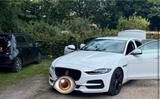 Jaguar XE P250S super Fahrzeug Tüv bis 09/... - Jaguar XE aus 2019