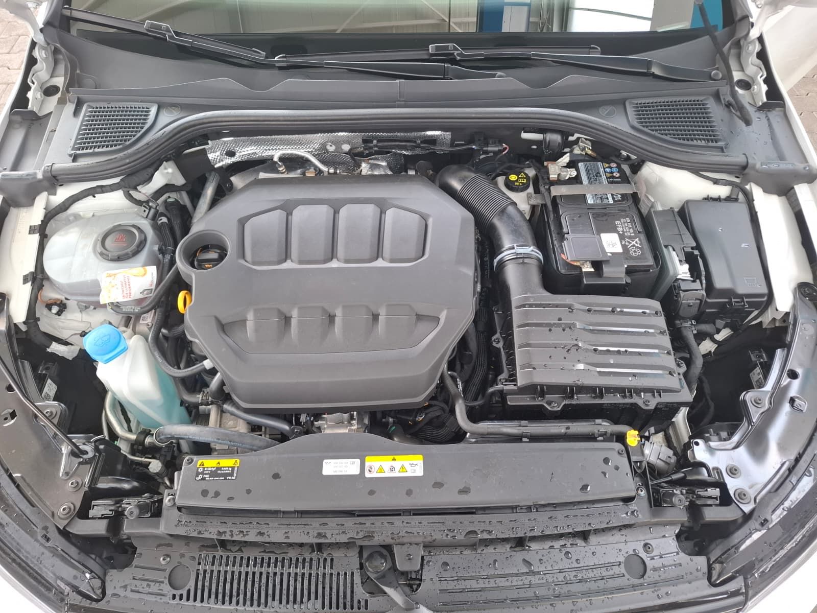 Fahrzeugabbildung Volkswagen Golf VIII Lim. R 2,0 TSI DSG 4M + ACC + IQ.Light