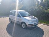 Fiat Panda 1.2 Benzin. TÜV 09/2027 kein No... - Fiat Panda Gebrauchtwagen in Braunschweig