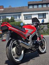 Suzuki Gs 500 E slingshot  - Angebote