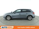 Audi A3 1.0 TFSI Aut.*XENON*TEMPO*PDC* - Audi A3: 3.0
