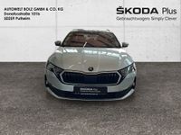 Skoda Octavia - Vorschau Bild 2