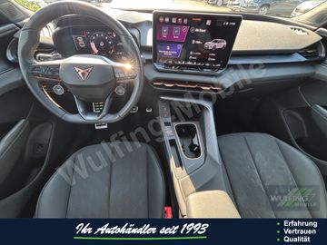 Cupra Terramar - 11