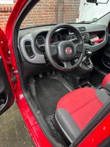 Fiat New Panda 1.2 8V - Super Stadtauto  - Fiat in Bremen