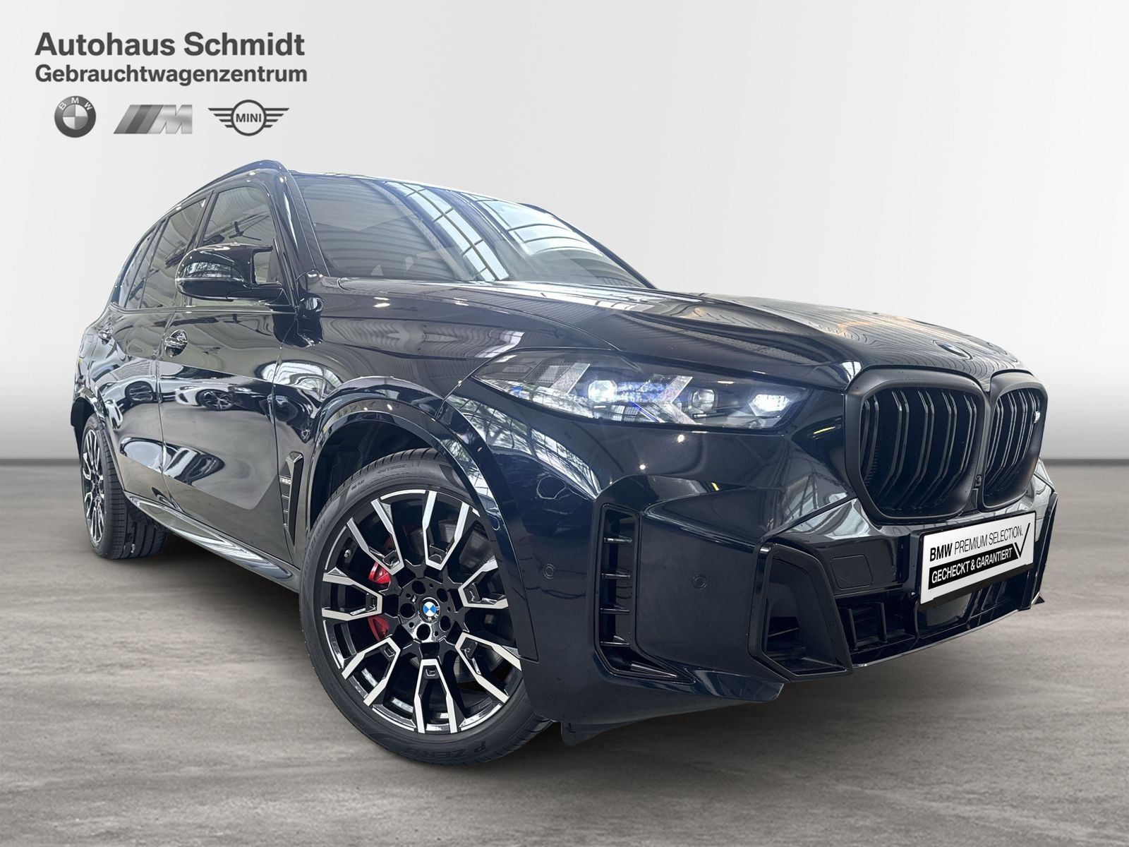 BMW X5 M60 - Bild 6