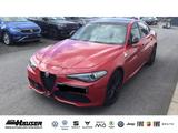 Alfa Romeo Giulia Veloce 2.0 Turbo AT8 Q4 PANO MEMORY NAVI  - rote Alfa Romeo Giulia