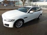 Jaguar XF 25d AWD  Portfolio Sportbrake Auto. - Jaguar XF: Kombi