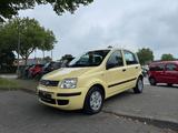 Fiat Panda 1.2 8V Dynamic - Fiat Panda mit Benzin-Antrieb: Kleinwagen, Automatik, 1.2