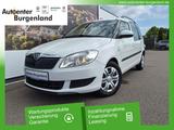 Skoda Roomster 1.6 TDI Ambition EINPARKHILFE SITZHEIZU - Skoda Roomster: 1.6