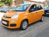 Fiat Bace  Panda 1.0 Mild Hybrid - Fiat Panda Gebrauchtwagen in Essen
