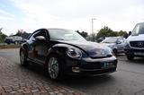 Volkswagen Beetle Remix SHZ/Klima/Tempomat/Dekor Käfer!! - gebrauchte VW Beetle aus dem Jahr 2014