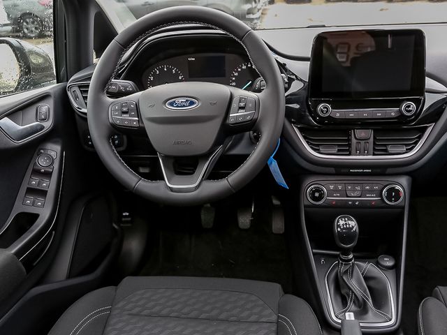 Ford Fiesta 1.0 EcoBoost *Titanium* + Winterpaket + K