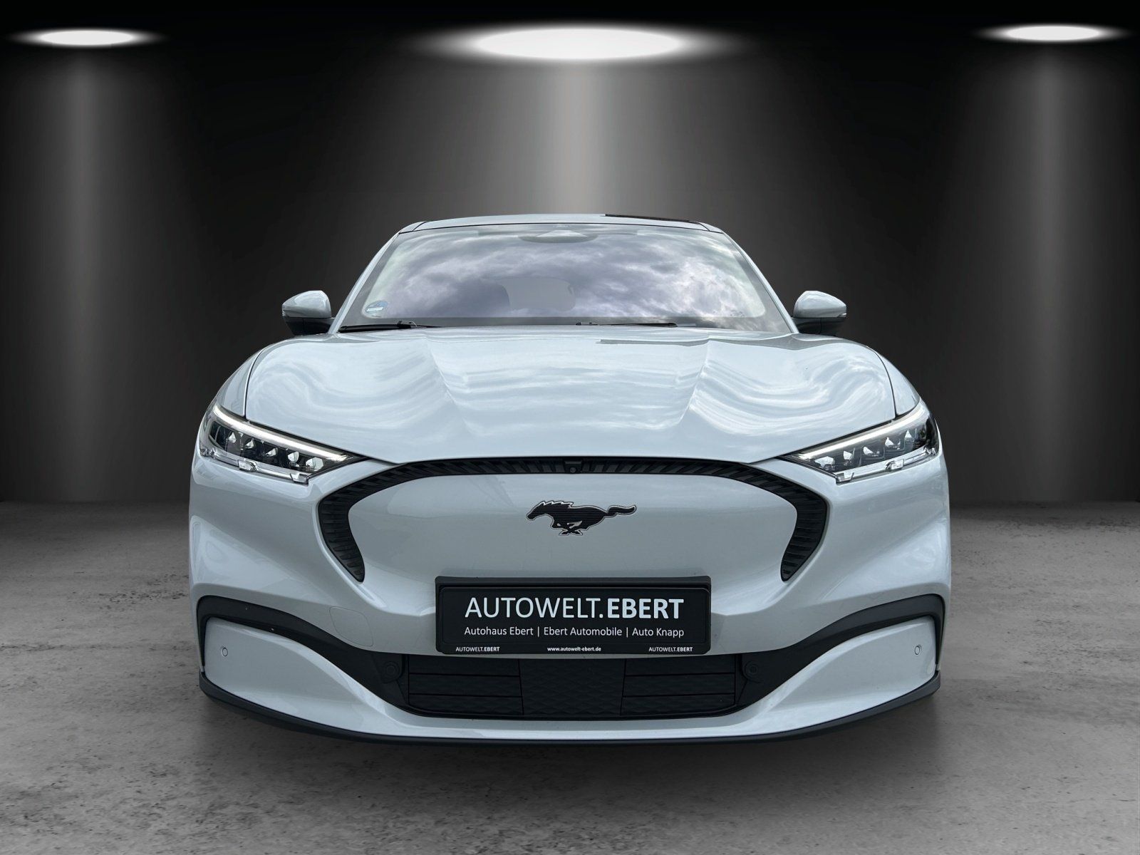 Fahrzeugabbildung Ford Mustang MACH-E Navi Leder Panodach