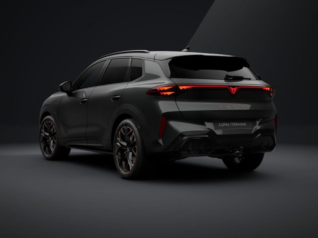 Cupra Terramar - Bild 3