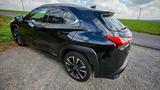 Lexus UX 250h Style Edition Style Edition - Lexus UX: Style Edition