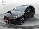 Lexus NX Hybrid Premium 4WD MY22 - Lexus aus 2022: Nx