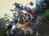 Suzuki GS500E / GM 51 B Bastlerfahrzeug FESTPREIS - Offers matching your search criteria