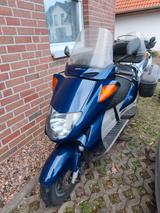 Honda Pantheon 125er Roller  - Offers