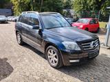 Mercedes-Benz GLK 250 CDI BlueEfficiency / Panorama / - Mercedes-Benz GLK 250 aus 2012