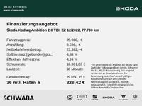 Skoda Kodiaq - Vorschau Bild 4