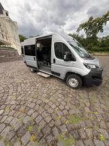 Fiat Ducato - Fiat Ducato mit Diesel-Antrieb: Kleinbus, 9 Sitzer