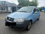 Fiat Punto 1.2 City AUTOMATIK/TÜV NEU/ZENT... - Fiat Punto: Automatik