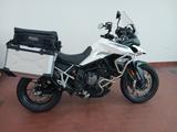 Triumph Tiger 900 GT - Tieferlegung + Alukoffer - TRIUMPH TIGER 900