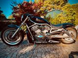 Harley-Davidson VRSCAW Umbau "Flat-Rod" 5HD V-Rod 260er - Offers matching your search criteria