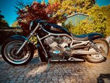 Harley-Davidson VRSCAW Umbau "Flat-Rod" 5HD V-Rod 260er - HARLEY-DAVIDSON V ROD UMBAU