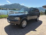 Land Rover Range Rover 5.0 V8 SC Supercharged Guter Zustand - Land Rover Range Rover: Sc