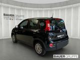 Fiat Panda Base DAB Berganfahrass. Klima BT teilb.Rüc - gebrauchte Fiat Panda aus dem Jahr 2023