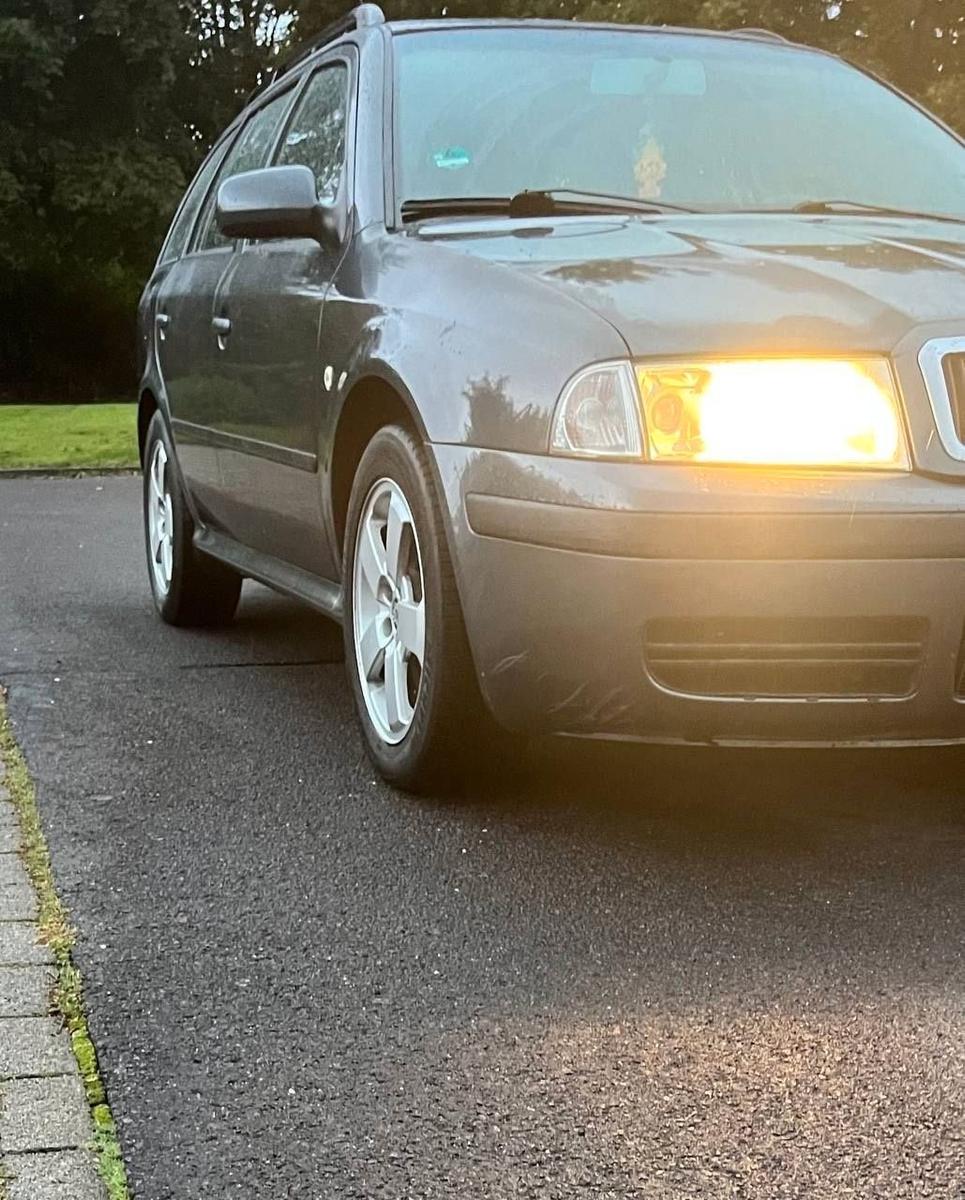 Skoda Octavia 2006 — rear view