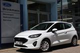 Ford Fiesta 1.1 S&S TREND ***BLACK-WEEK*** - Ford Fiesta: Black