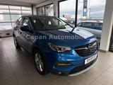 Opel Grandland X Business Elegance Plug-in-Hybrid/EU6 - Opel Grandland (X) Business-Elegance mit Benzin-Antrieb