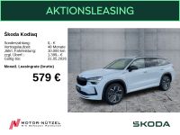 Skoda Kodiaq - Vorschau Bild 1