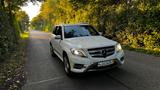 Mercedes-Benz GLK 350 4MATIC AMG SPORT- 360 Kamera - TÜV neu - Mercedes-Benz GLK-Class
