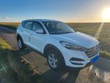 Hyundai TUCSON 1.7 CRDi 2WD 6MT Advantage Advantage - Hyundai mit Diesel-Antrieb: 7