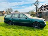Mercedes-Benz Mercedes W210 E Klasse OM606 186tkm 300D B... - Mercedes-Benz 300 mit Diesel-Antrieb: Kombi