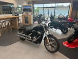 Harley-Davidson Softail Standard 107 FXST - Angebote entsprechen deinen Suchkriterien